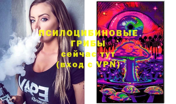 сатива Абинск