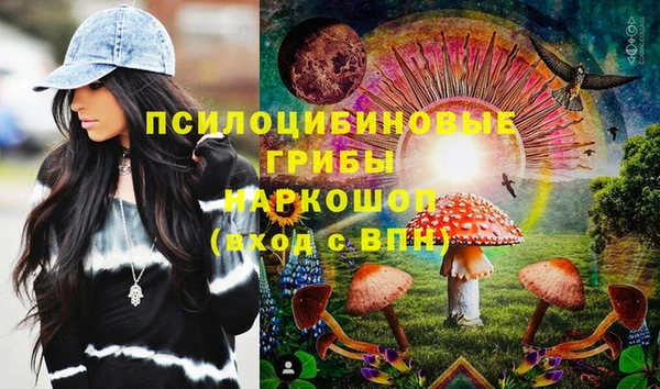 МДПВ Абаза